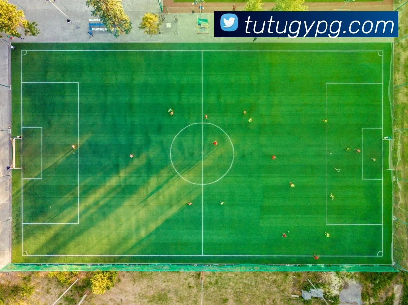 数据防护可视化